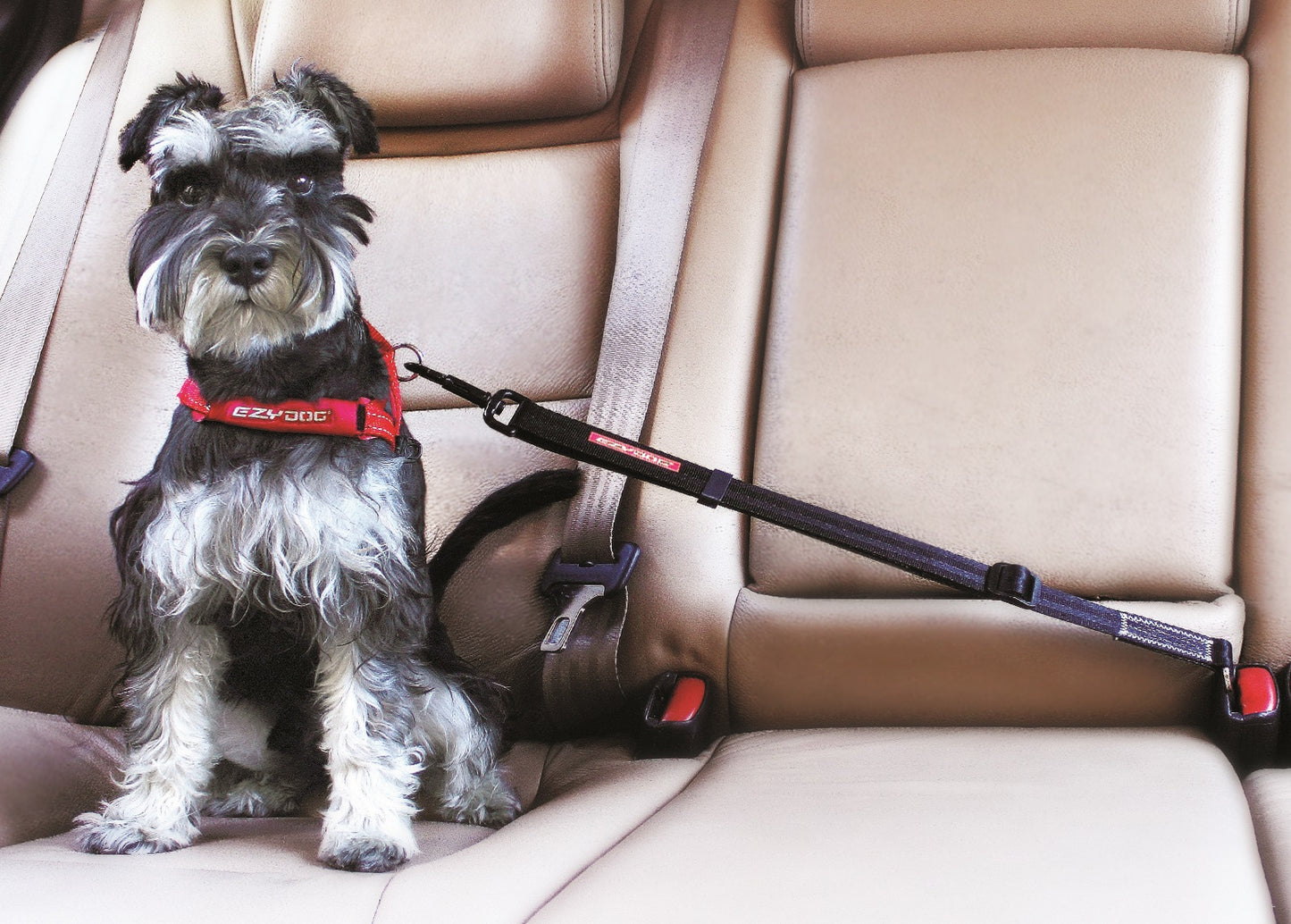 EzyDog Click Zero Shock Car Restraint Black