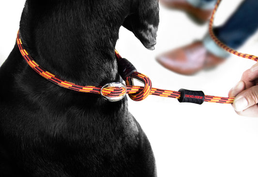 EzyDog Luca Leash