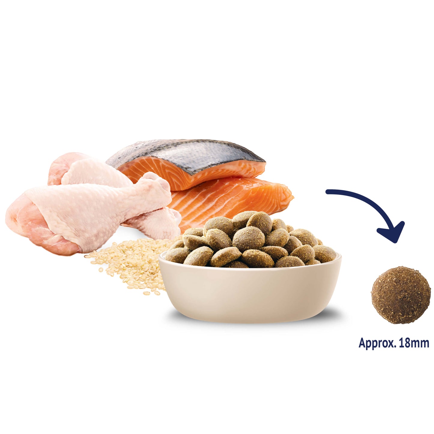 Advance Retriever Dry Dog Food Chicken And Salmon