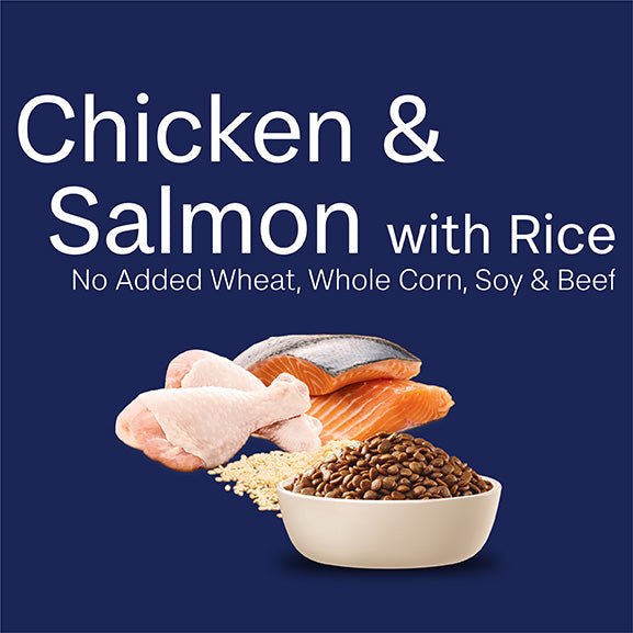 Advance Chicken & Salmon with Rice Adult Dry Cat Food - PetPost Australia