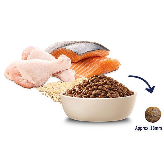 Advance Chicken & Salmon with Rice Adult Dry Cat Food - PetPost Australia