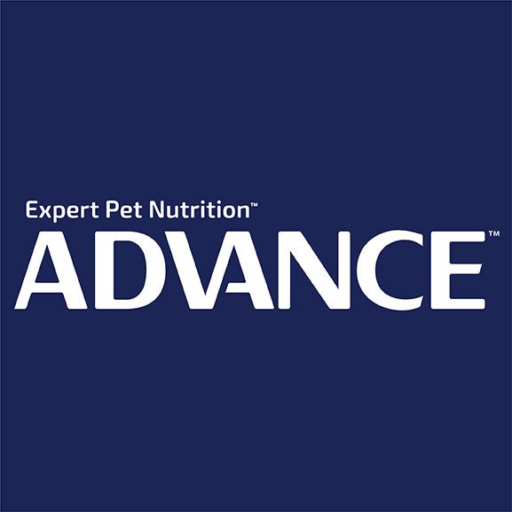 Advance Chicken & Salmon with Rice Adult Dry Cat Food - PetPost Australia