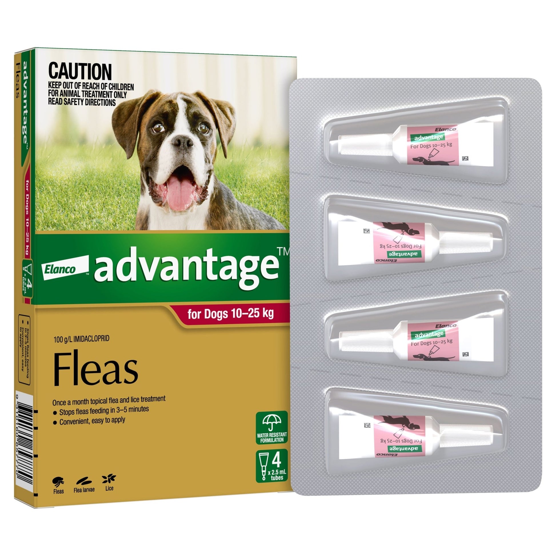 Advantage Flea Treatment 10-25kg Dog - PetPost Australia