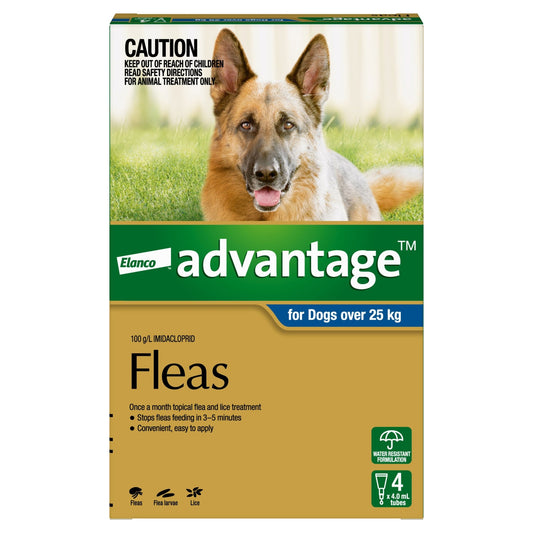 Advantage Flea Treatment 25kg+ Dog - PetPost Australia