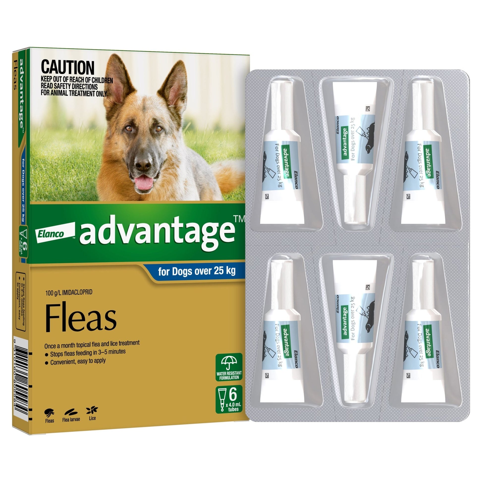 Advantage Flea Treatment 25kg+ Dog - PetPost Australia