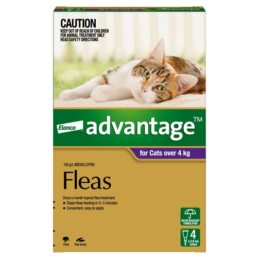 Advantage Flea Treatment >4kg Cat - PetPost Australia