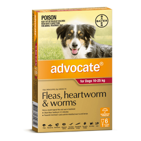 Advocate Flea & Worming Treatment 10-25kg Dog - PetPost Australia