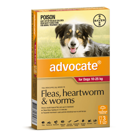 Advocate Flea & Worming Treatment 10-25kg Dog - PetPost Australia