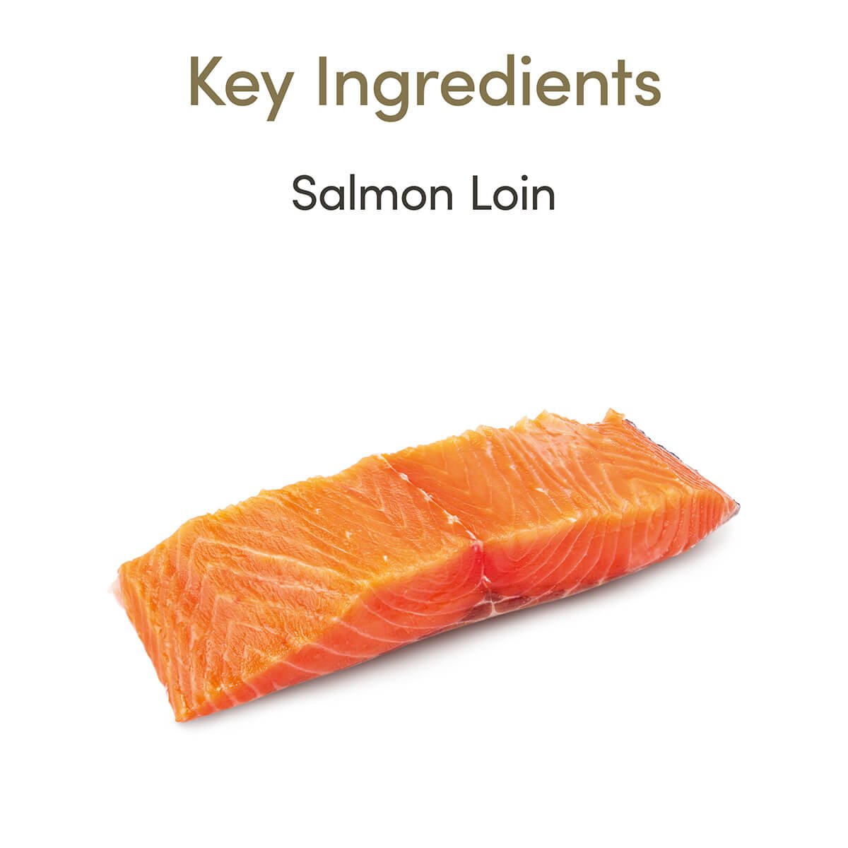 Applaws Salmon Loin Cat Treats 25g - PetPost Australia