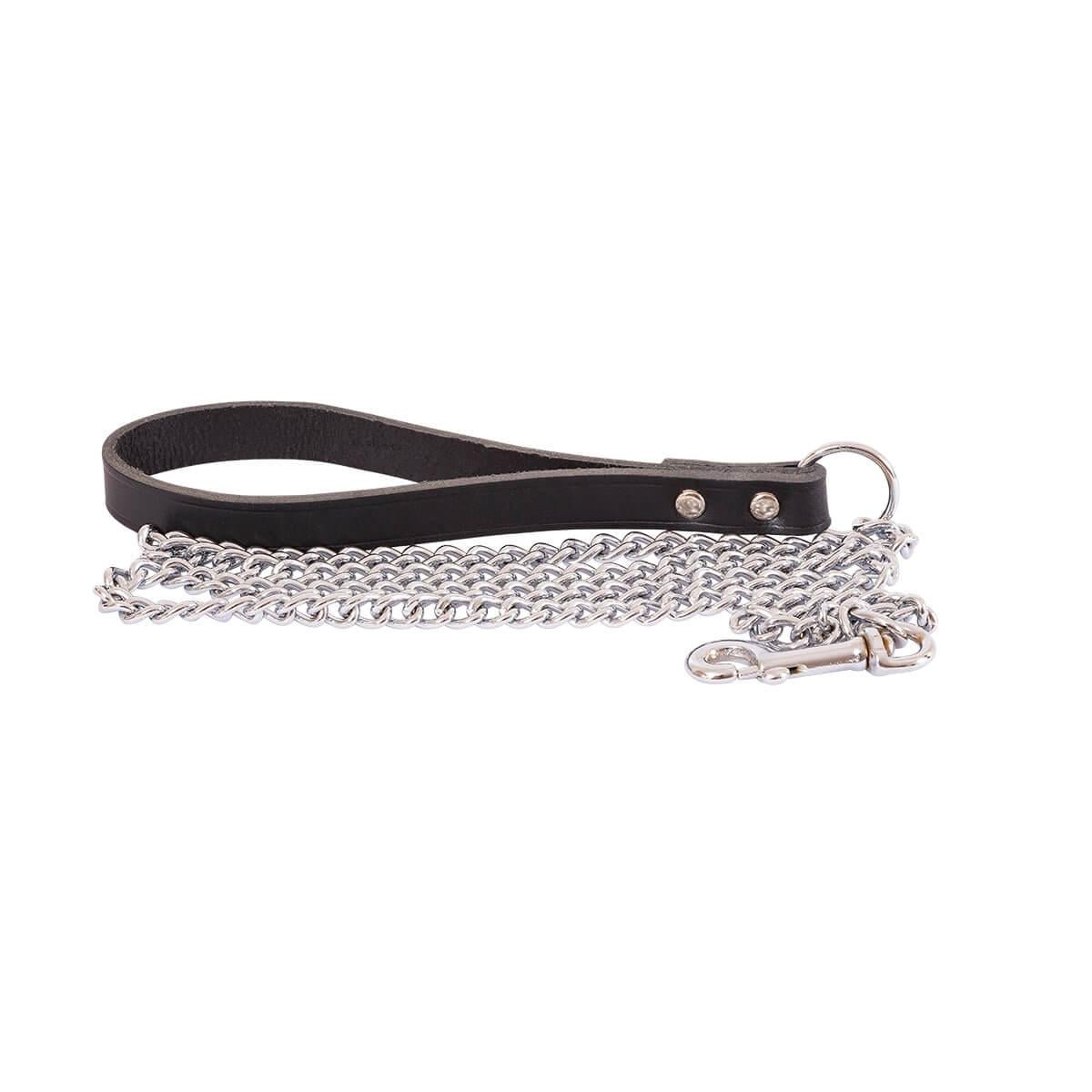 Beau Pets Dog Chain Lead 2.5mm x 120cm - PetPost Australia