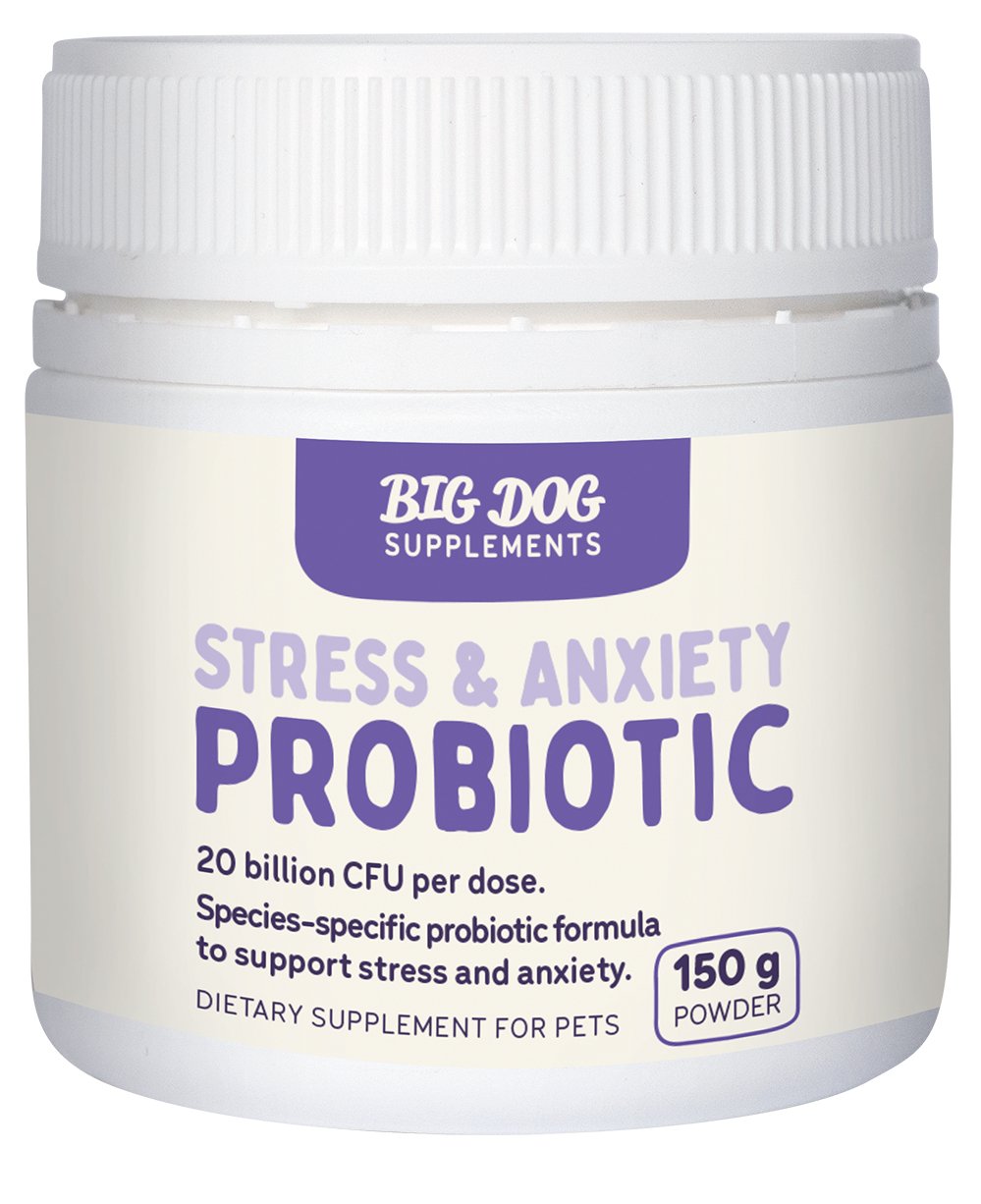 Big Dog Stress & Anxiety Probiotic 150g - PetPost Australia
