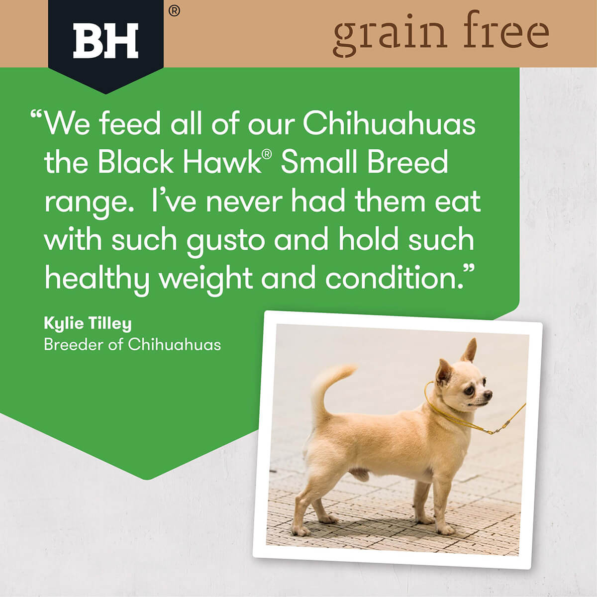 Black Hawk Grain Free Small Breed Adult Chicken Dry Dog Food - PetPost Australia