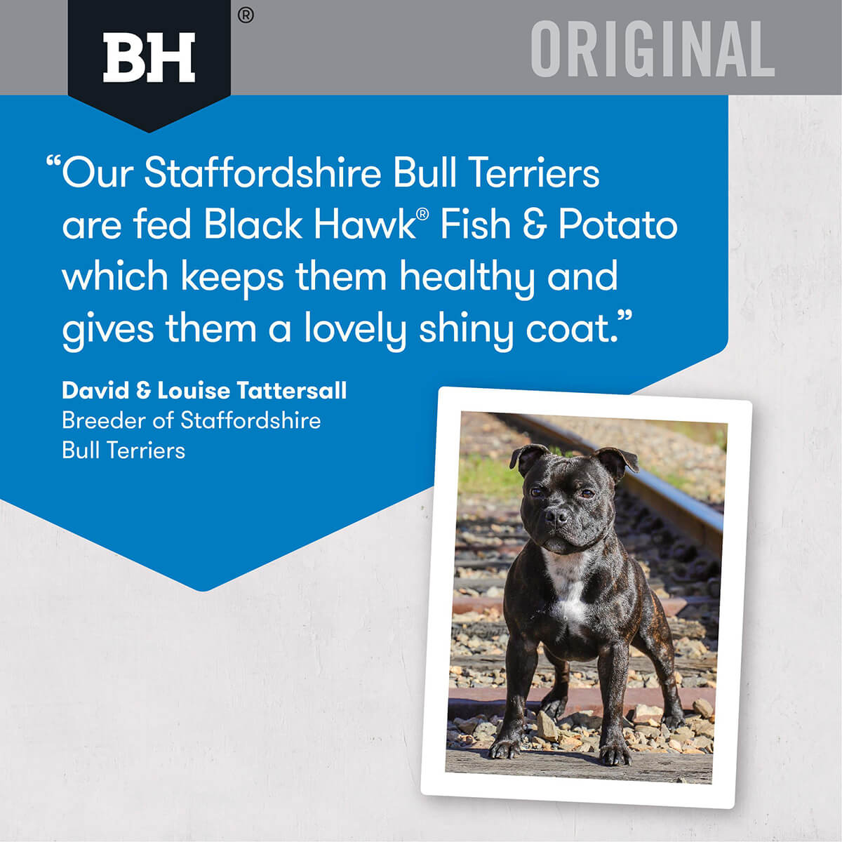 Black Hawk Original Adult Fish & Potato Dry Dog Food - PetPost Australia