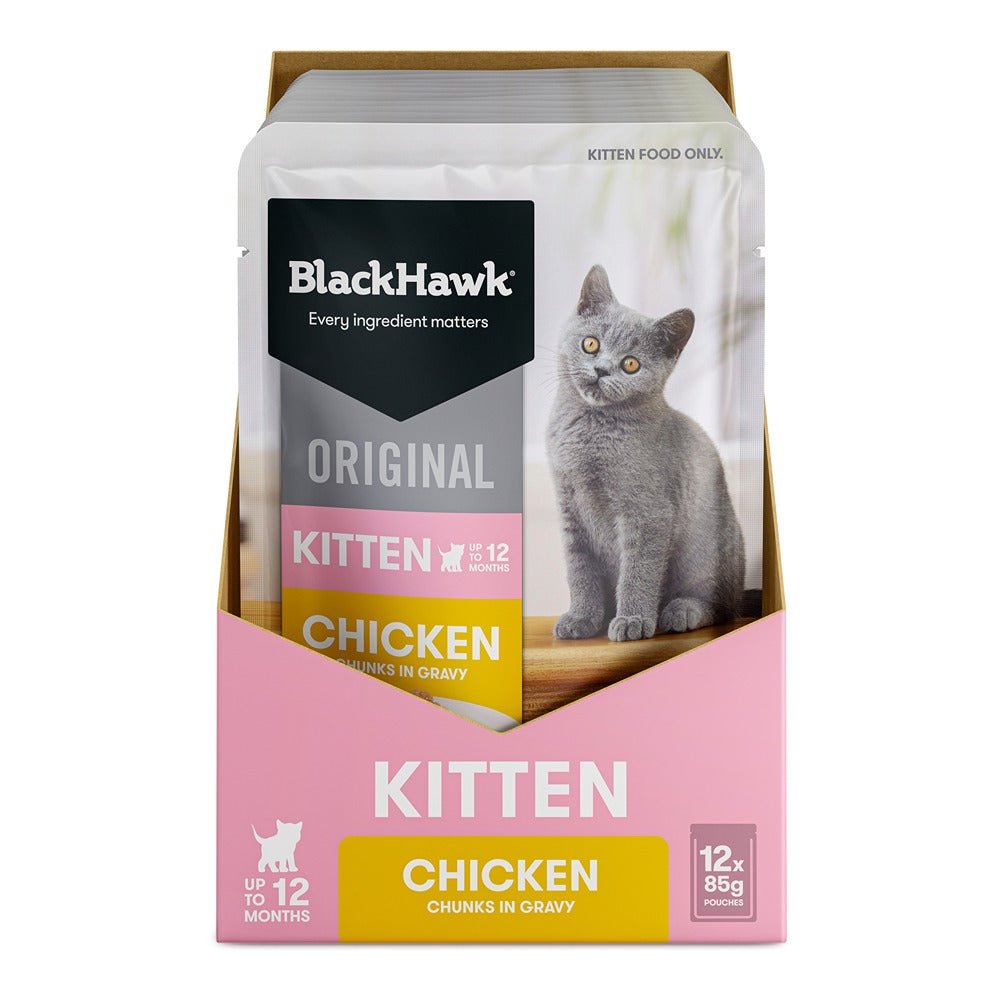 Black Hawk Original Kitten Food Chicken in Gravy 85g - PetPost Australia
