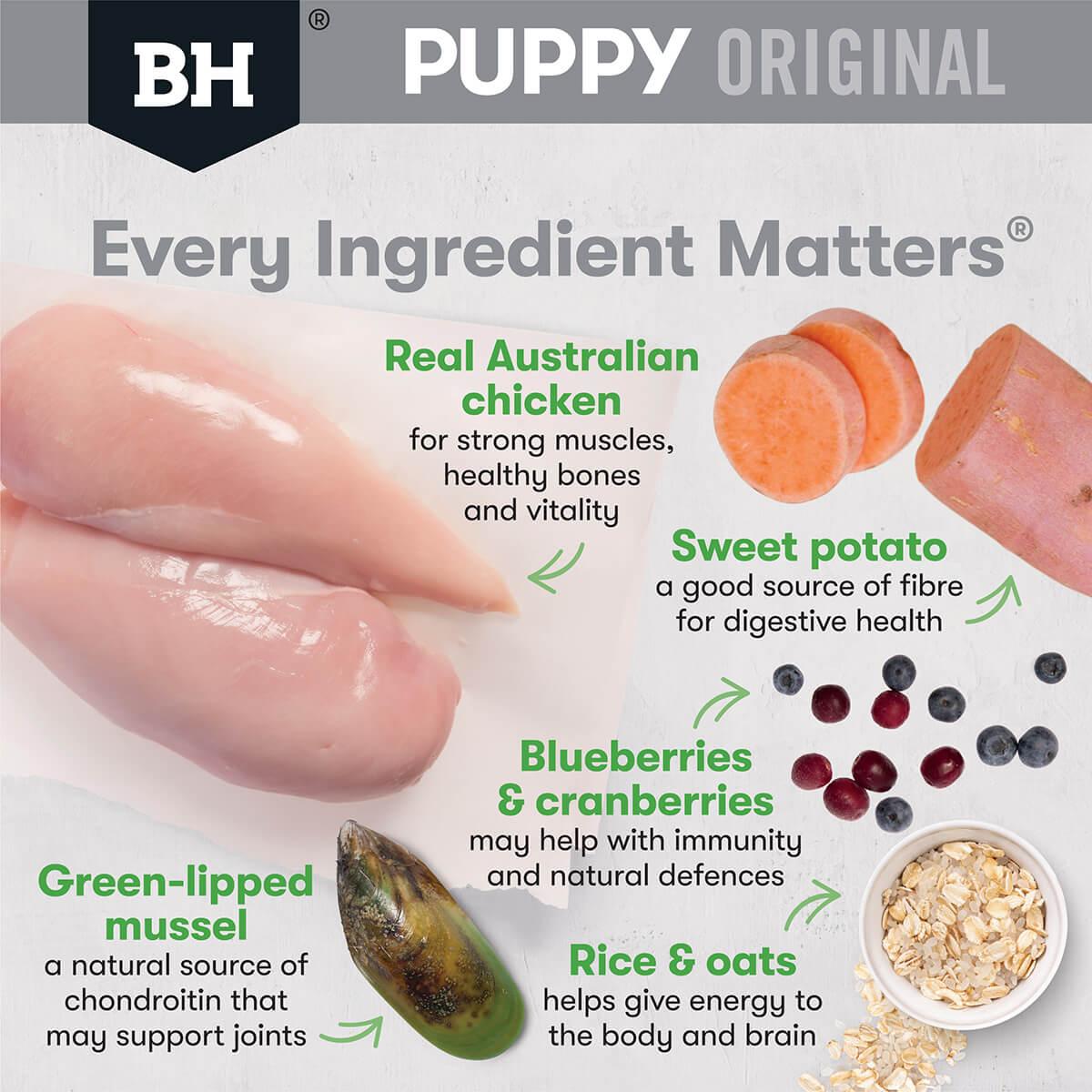 Black Hawk Puppy Chicken & Rice Large Breed Dry Dog Food - PetPost Australia