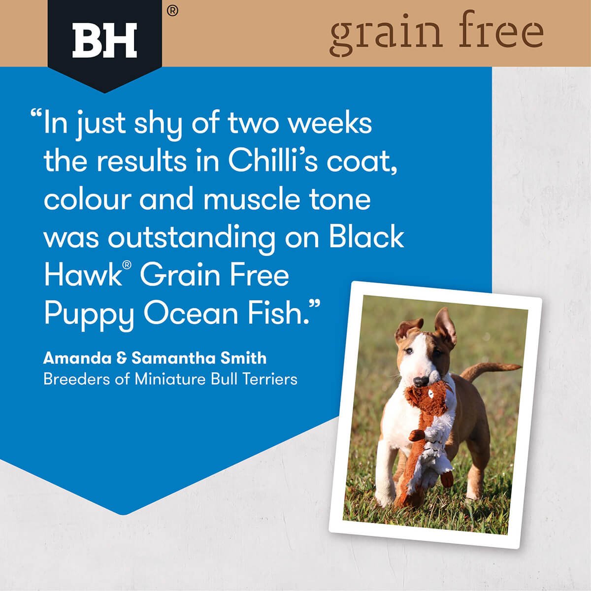 Black Hawk Puppy Grain Free Wild Caught Ocean Fish - PetPost Australia
