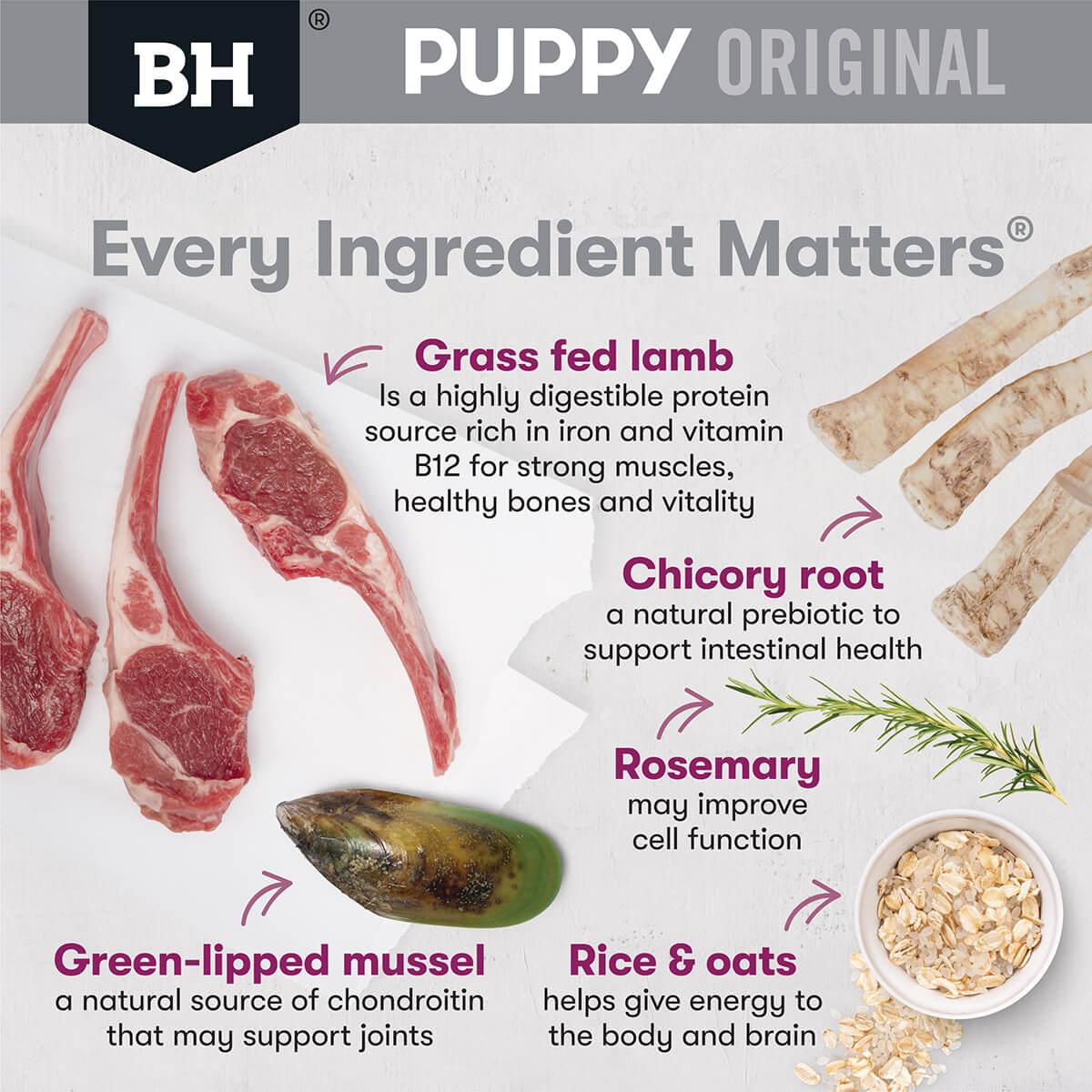 Black Hawk Puppy Lamb & Rice Large Breed Dry Dog Food - PetPost Australia