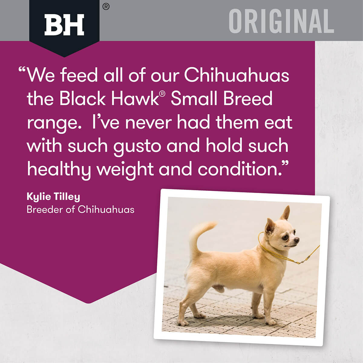 Black Hawk Small Breed Adult Lamb & Rice Dry Dog Food - PetPost Australia