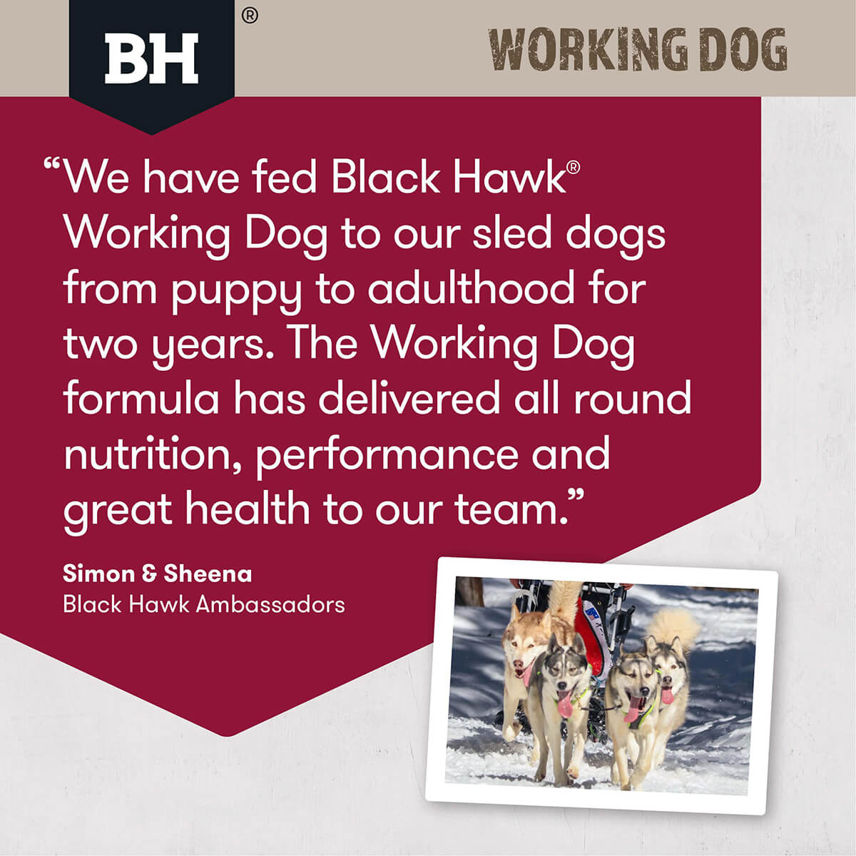 Black Hawk Working Dog Adult Lamb & Beef Dry Dog Food - PetPost Australia