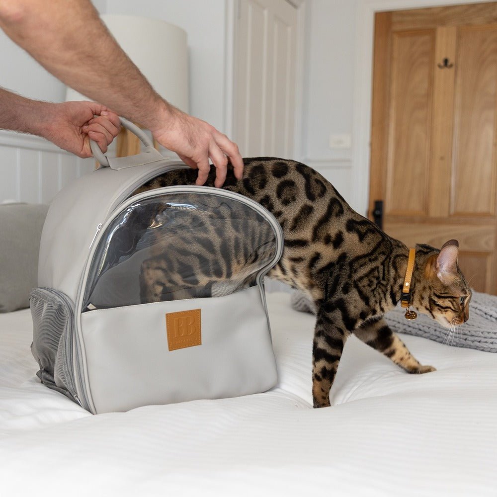 Buddy & Belle Cat Backpack Grey - PetPost Australia