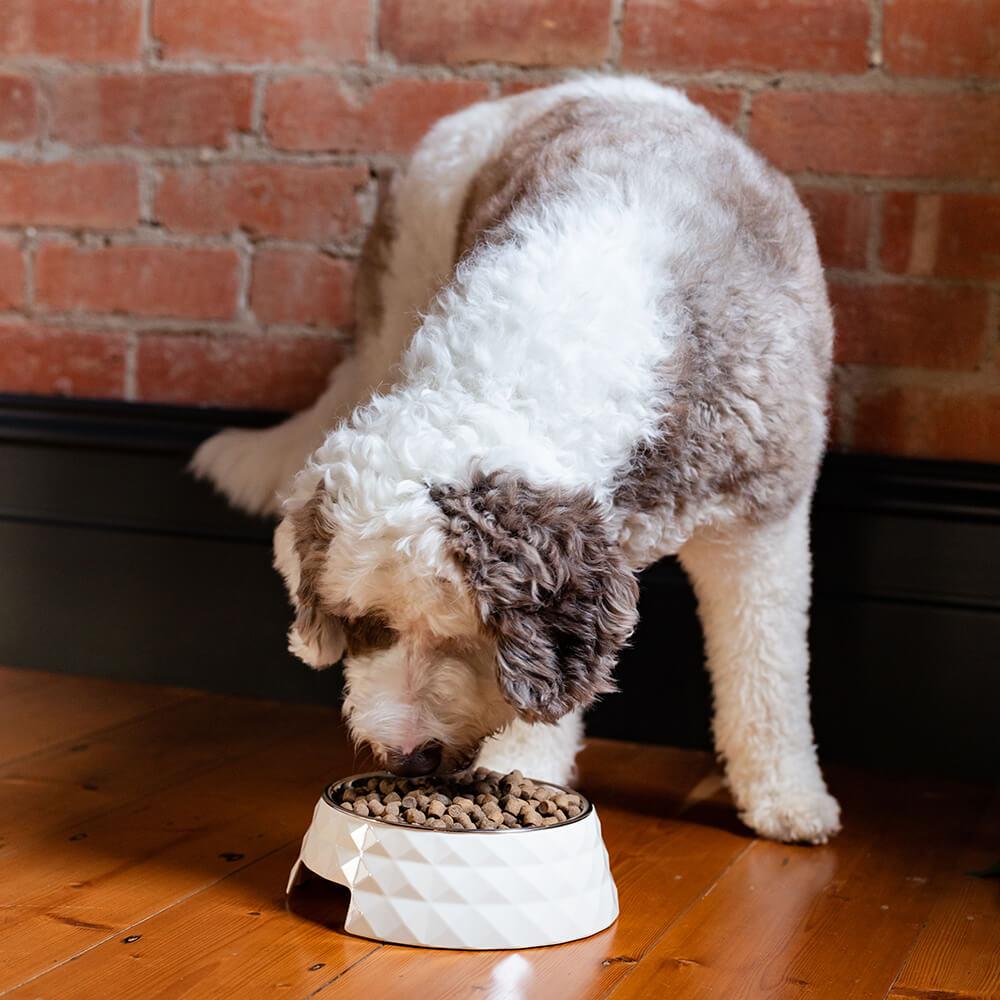 Buddy & Belle Diamond Melamine Bowl - PetPost Australia