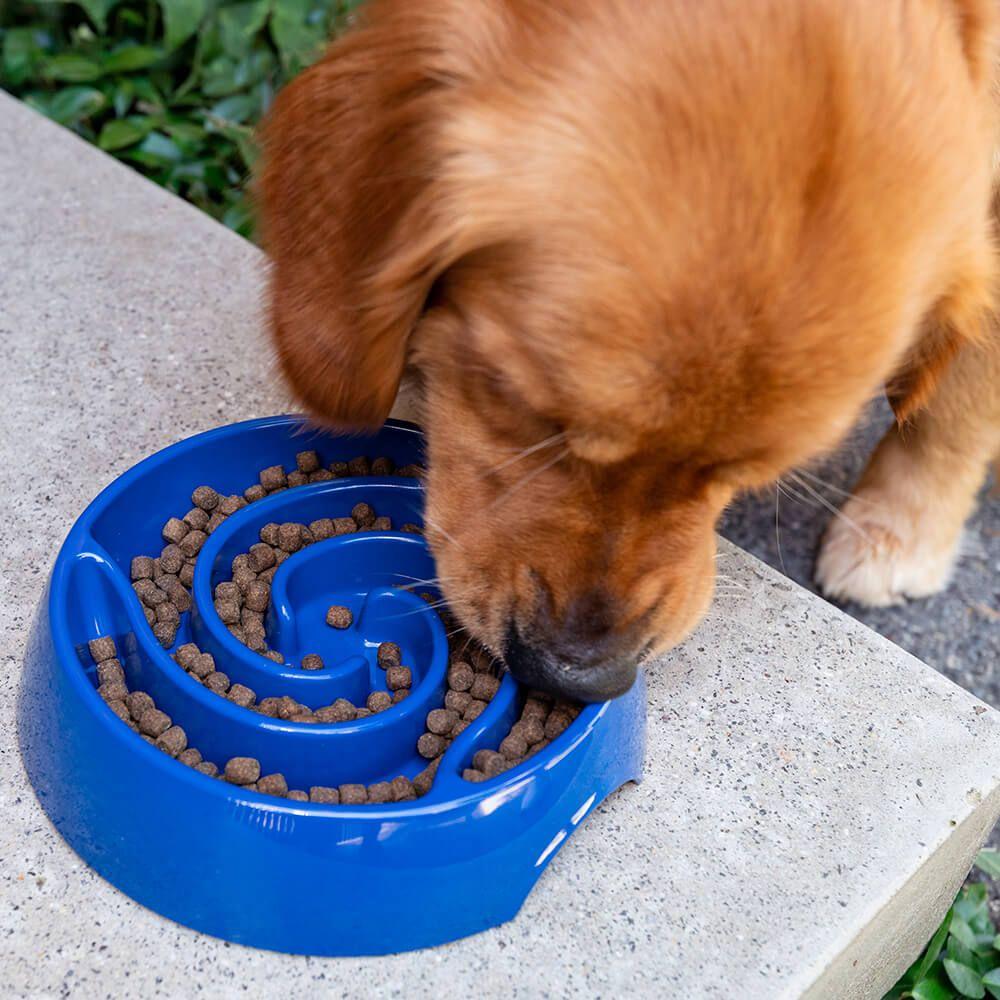 Buddy & Belle Slow Feeder Bowl - PetPost Australia