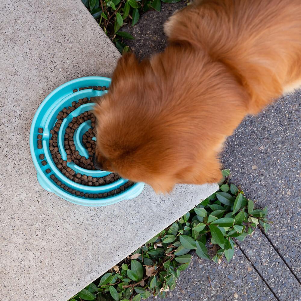 Buddy & Belle Slow Feeder Bowl - PetPost Australia