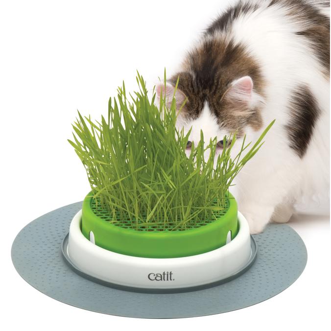 Catit Senses 2.0 Grass Planter - PetPost Australia