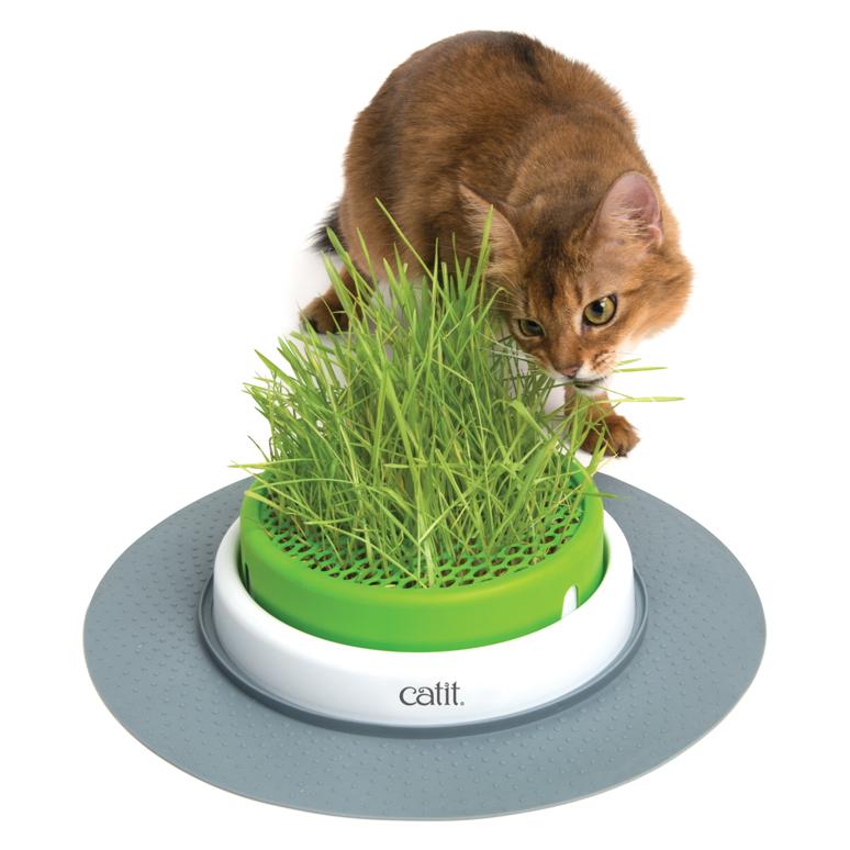 Catit Senses 2.0 Grass Planter - PetPost Australia