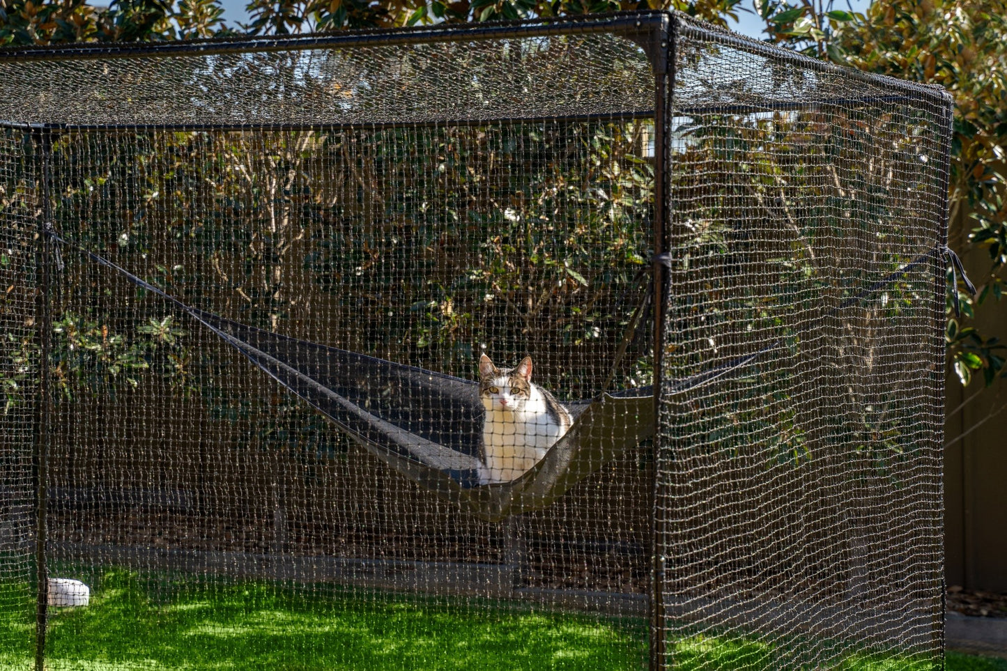 Catnets Fortress Cat Enclosure 1.7m x 1.7m x 2.5m - PetPost Australia