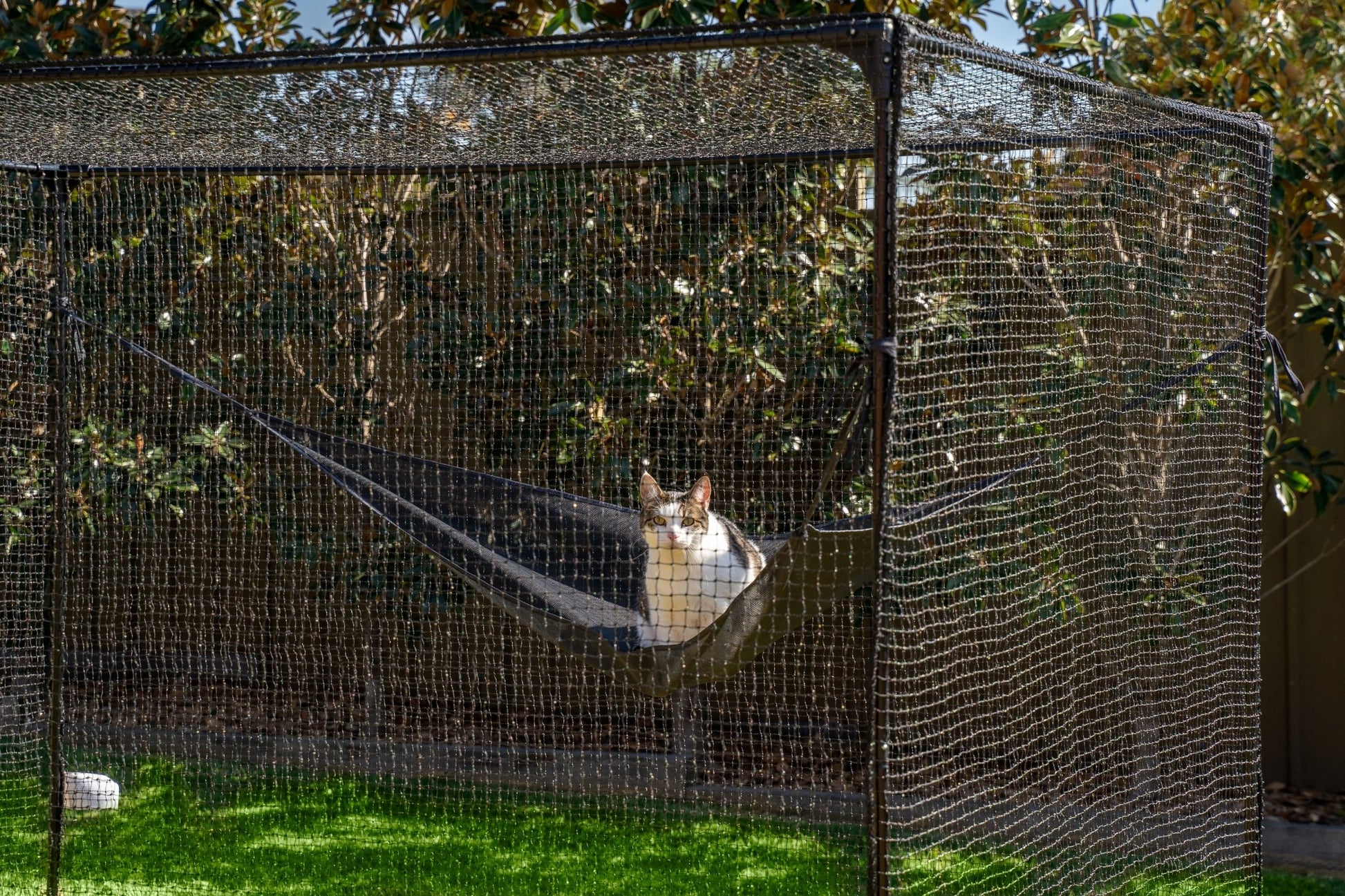 Catnets Fortress Cat Enclosure 1.7m x 1.7m x 2.5m - PetPost Australia