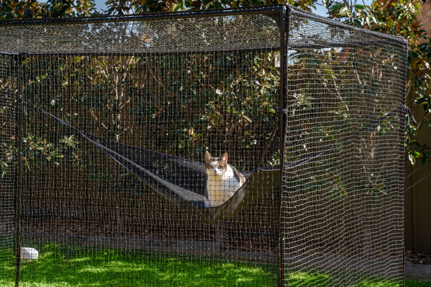 Catnets Peak Cat Enclosure 2.3m x 1.2m x 1.2m - PetPost Australia