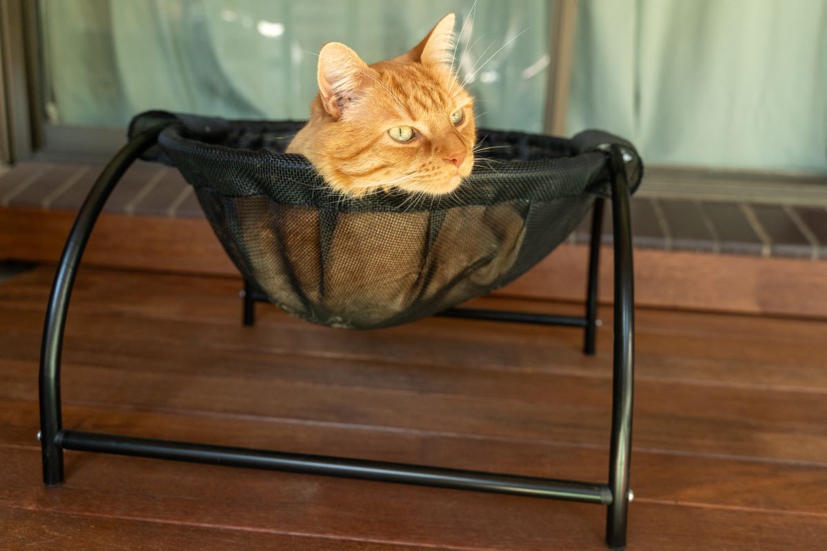 Catnets Skywalks Floor Hammock - PetPost Australia