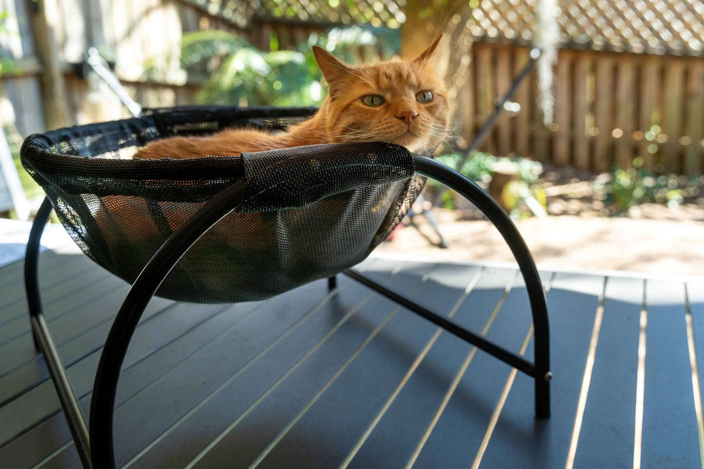 Catnets Skywalks Floor Hammock - PetPost Australia