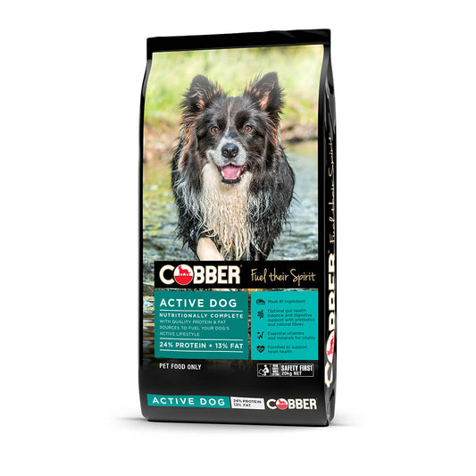 Cobber Active Dog Dry Dog Food 20kg - PetPost Australia