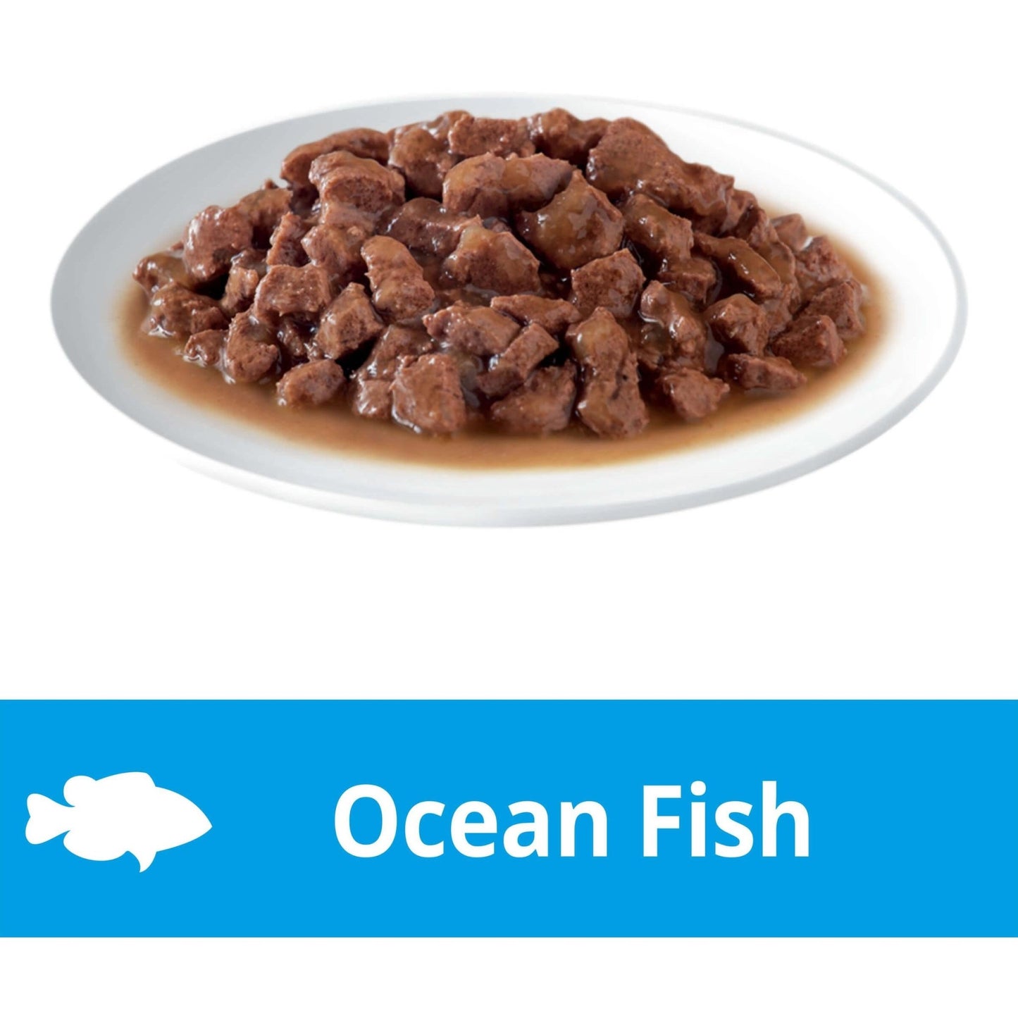 Dine Daily Variety Saucy Morsels & Ocean Fish Wet Cat Food Tray - PetPost Australia