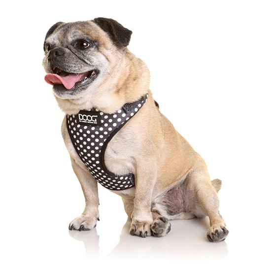 DOOG Neoflex Dog Harness Pongo - PetPost Australia