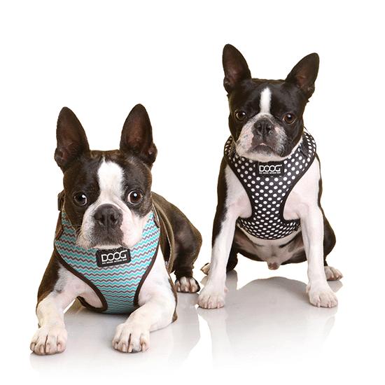 DOOG Neoflex Dog Harness Pongo - PetPost Australia