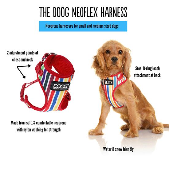 DOOG Neoflex Dog Harness Toto - PetPost Australia