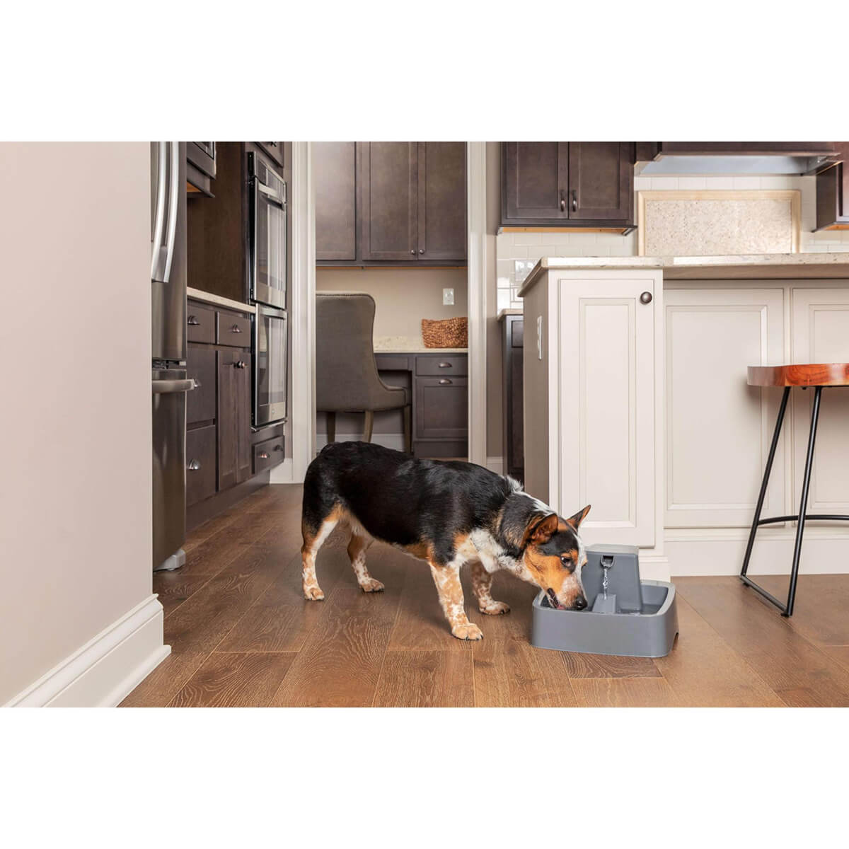 Drinkwell Pet Fountain - PetPost Australia