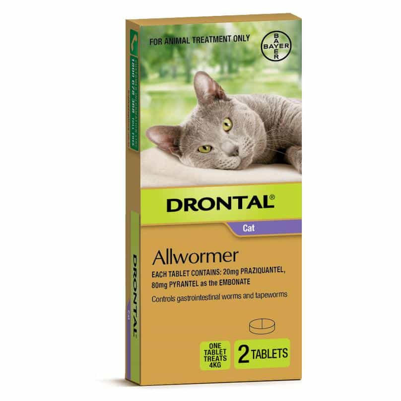 Drontal Ellipsoid Allwormer 4kg Small Cats - PetPost Australia
