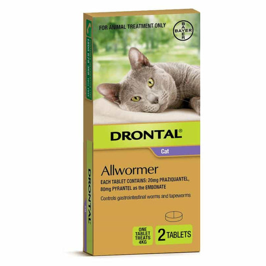 Drontal Ellipsoid Allwormer 4kg Small Cats - PetPost Australia