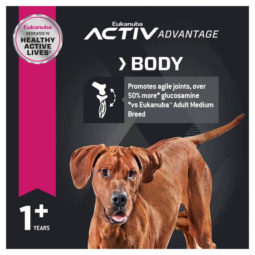 Eukanuba Large Breed Adult Chicken Dry Dog Food - PetPost Australia