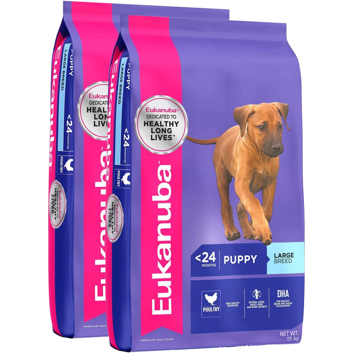 Eukanuba Large Breed Puppy Chicken Dry Dog Food - PetPost Australia