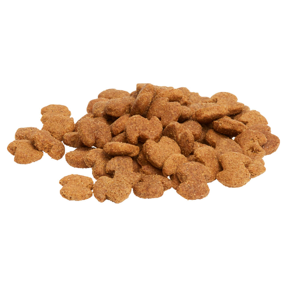 Eukanuba Large Breed Senior Dry Dog Food - PetPost Australia
