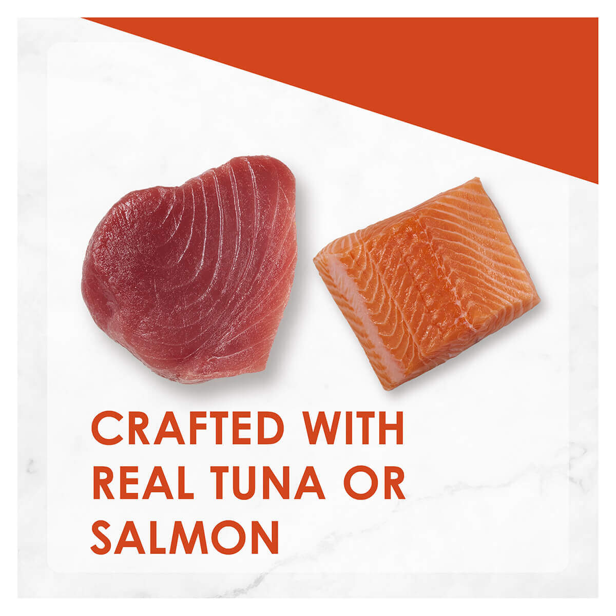 Fancy Feast Inspirations Salmon and Tuna Wet Cat Food 12x70g - PetPost Australia