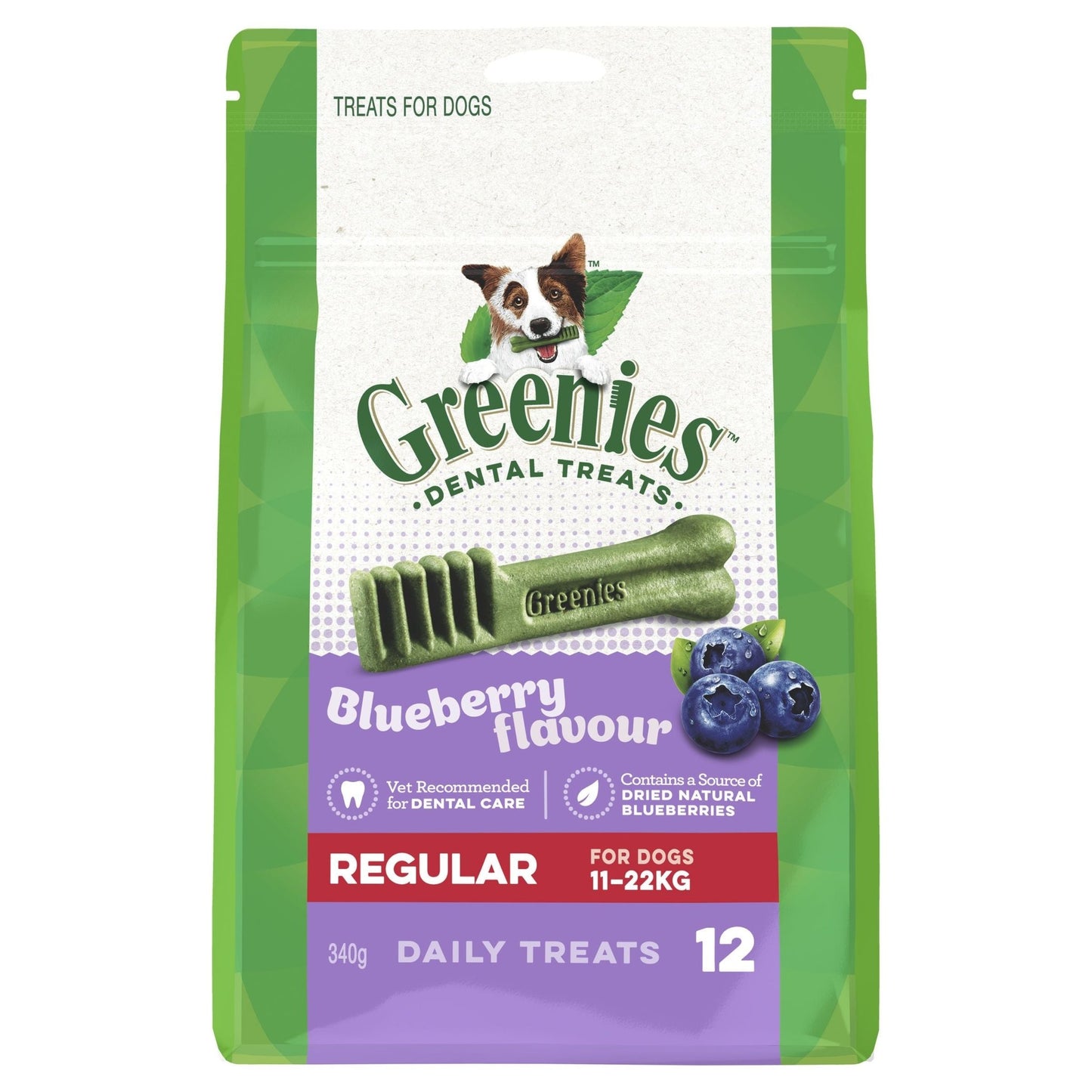 Greenies Blueberry Regular Dental Chews Dog Treats - PetPost Australia