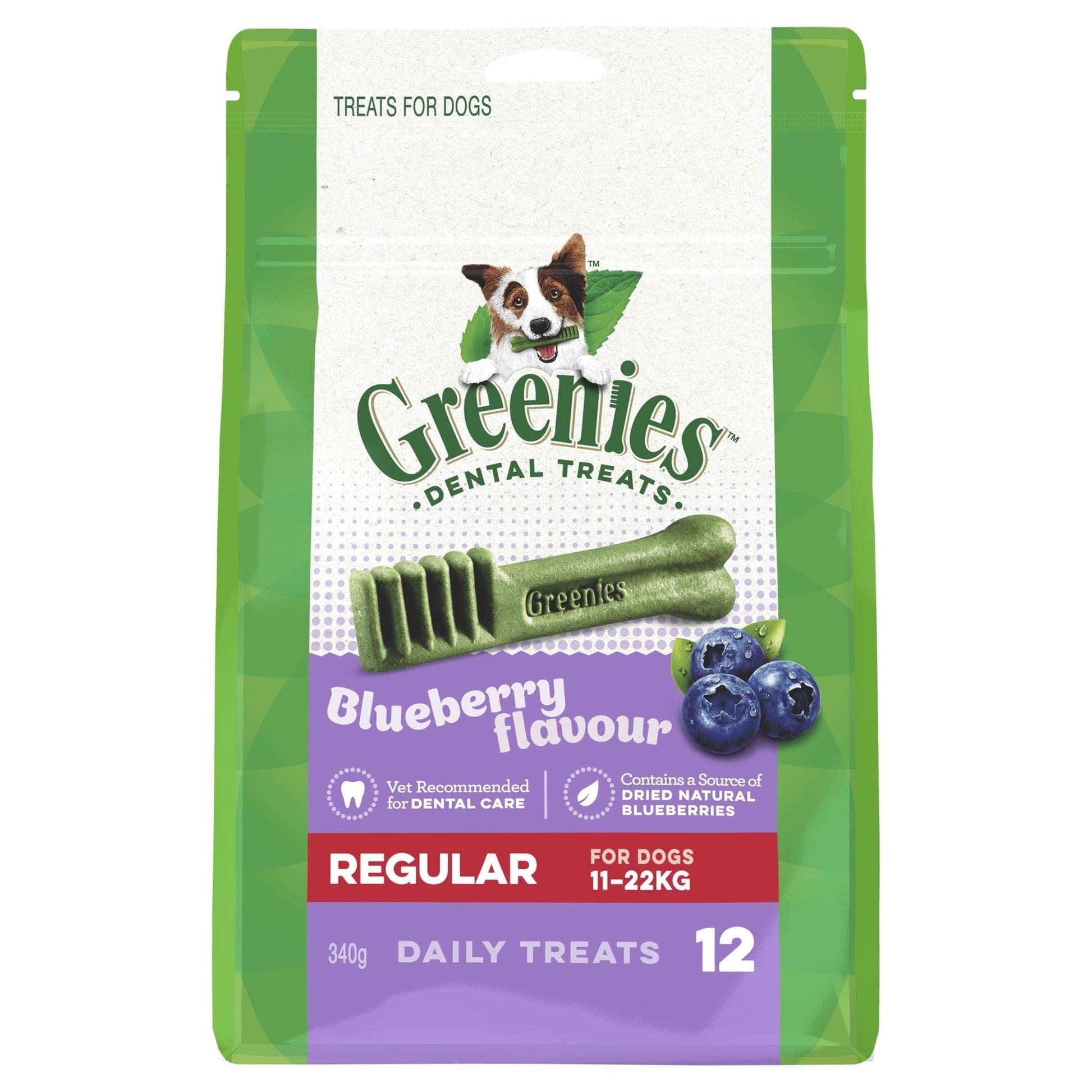 Greenies Blueberry Regular Dental Chews Dog Treats - PetPost Australia