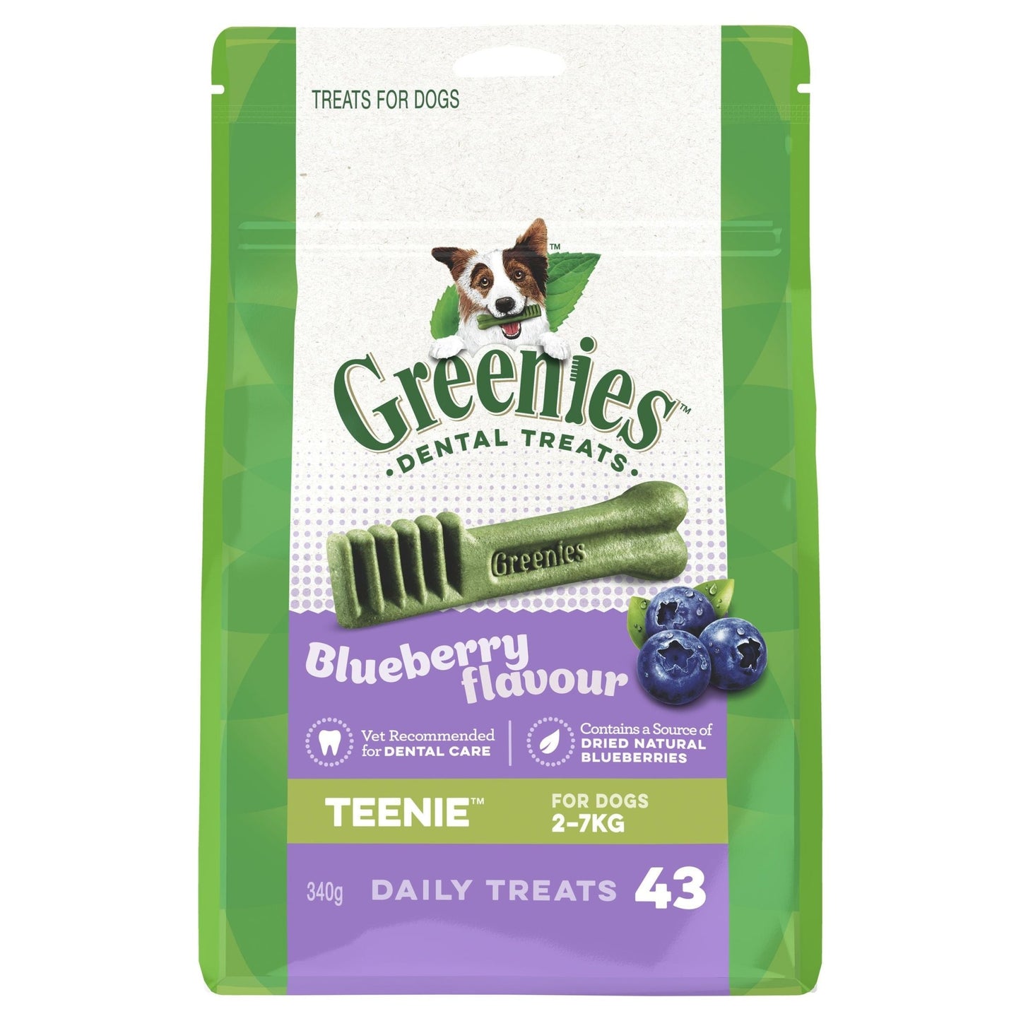 Greenies Blueberry Teenie Dental Chews Dog Treats - PetPost Australia