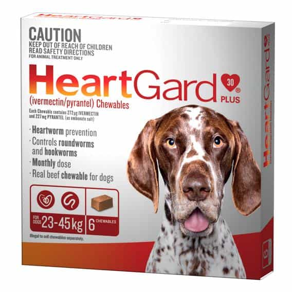 Heartgard Worming Treatment 23-45kg Dog - PetPost Australia